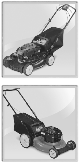 Two push mowers